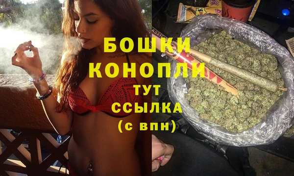 дживик Аркадак