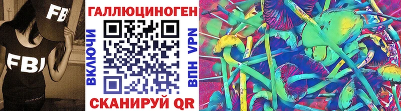 Псилоцибиновые грибы Cubensis Карабулак